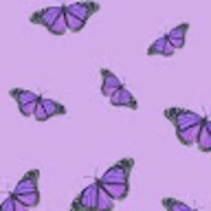 Meet your Posher, Ava